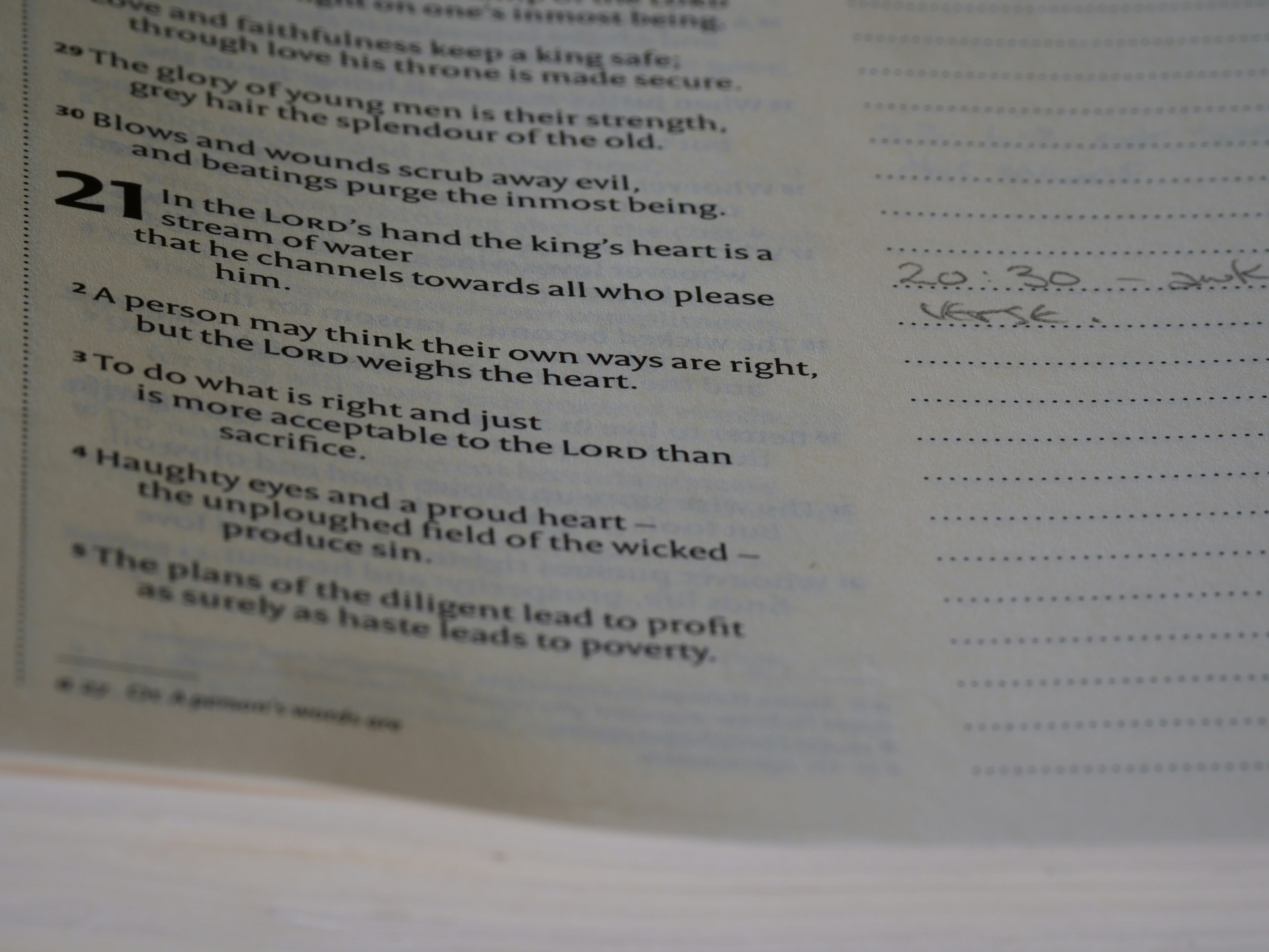 close up, bokeh, macro, blur, blurred background, close focus, bible, old testament, hebrew bible, christian, judaism, history, text, reading, bible study, devotions, text, NIV, New International Version, type, typography, canon, christianity, holy scripture, holy bible, scripture, old testament, hebrew bible, מִשְלֵי, book of proverbs, proverbs of solomon, wisdom literature, ketuvim, anthology, solomon, wisdom, sayings, mashai, folly, values, morality, proverbs, proverb, life skills, ancient wisdom, hebrew wisdom,